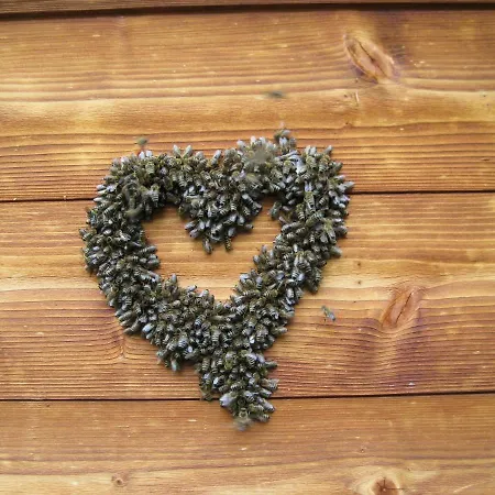 Haus Kunz 3* Imsterberg