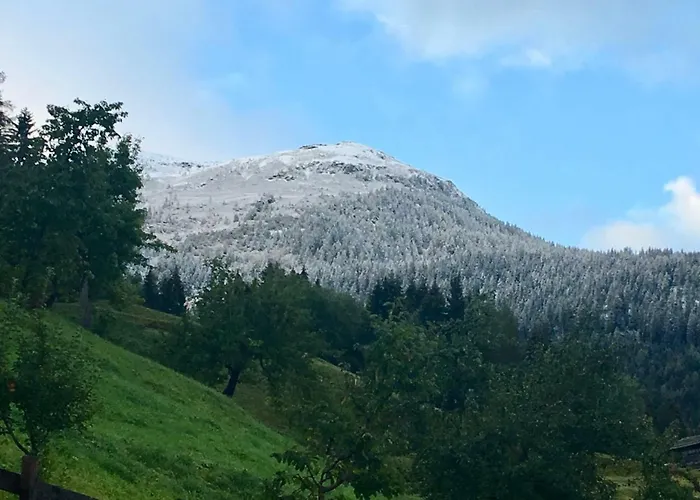 Haus Kunz 게스트하우스